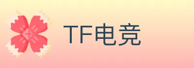 TF电竞 logo
